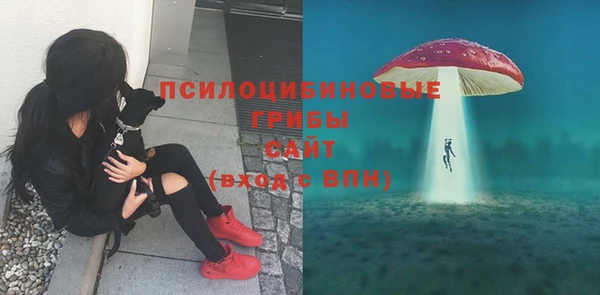 крисы Новокубанск