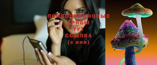 соль курить ск Арсеньев