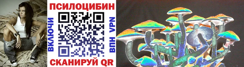 Псилоцибиновые грибы Psilocybe  закладка  Лихославль 